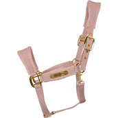 Kentucky Licol Velvet Soft Rose