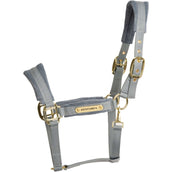 Kentucky Licol Velvet Bleu clair