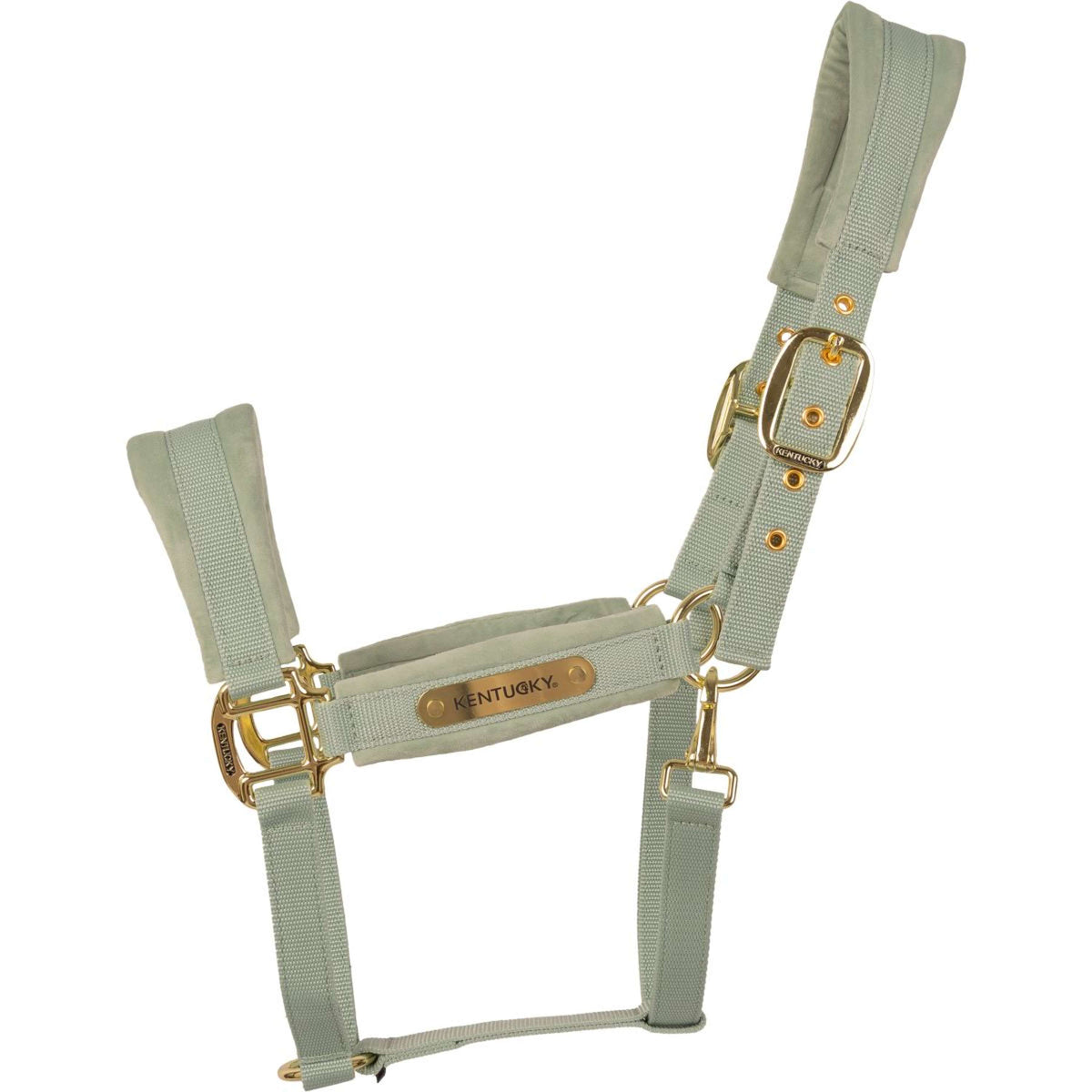 Kentucky Licol Velvet Menthe