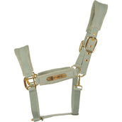 Kentucky Licol Velvet Menthe