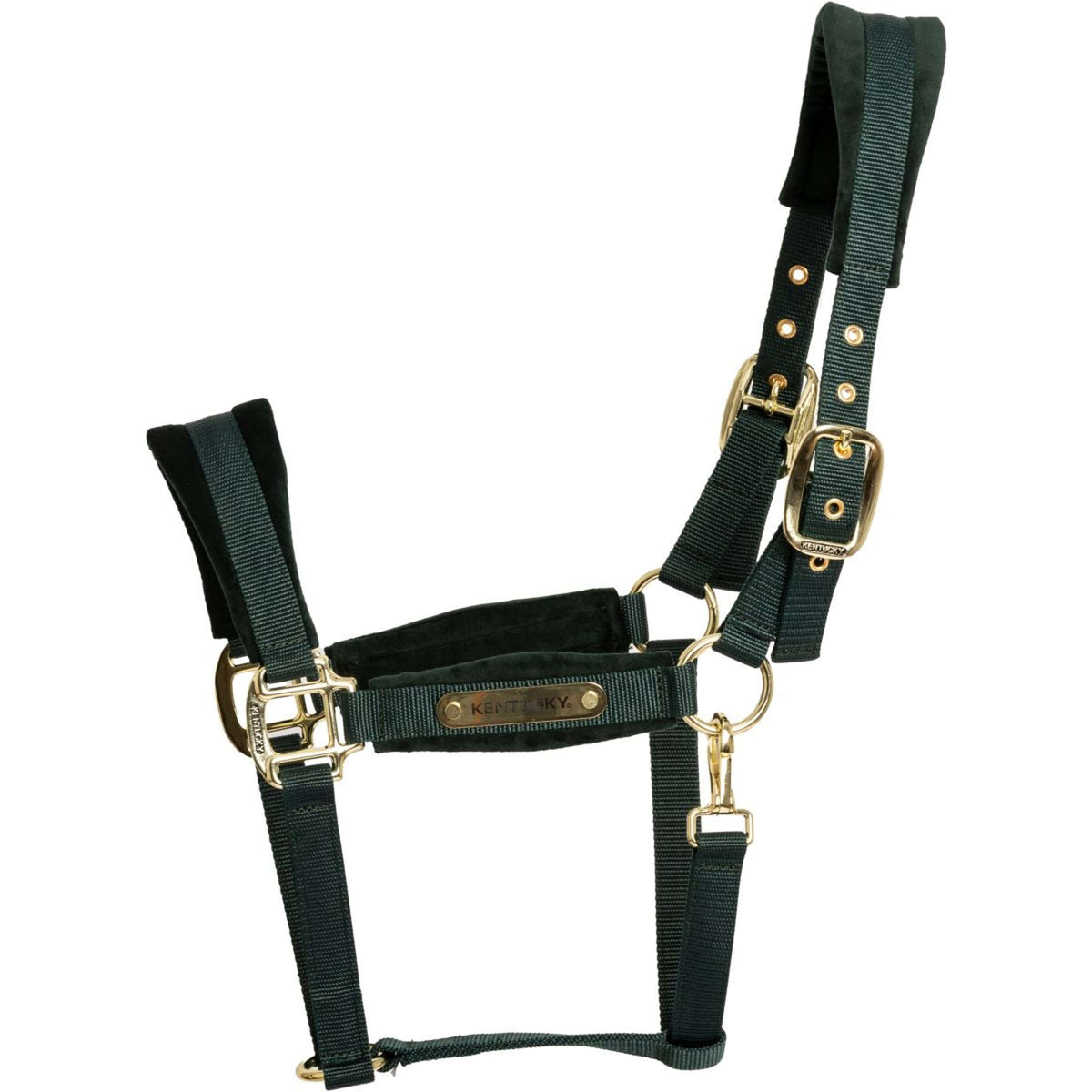 Kentucky Licol Velvet Pine Green
