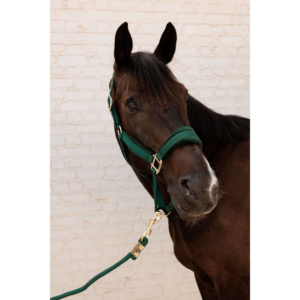 Kentucky Corde pour Licol Basic Pine Green