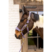 Kentucky Licol Velvet Violet