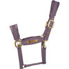 Kentucky Licol Velvet Violet
