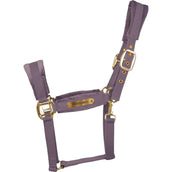 Kentucky Licol Velvet Violet