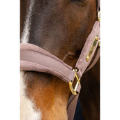 Kentucky Licol Velvet Lilas