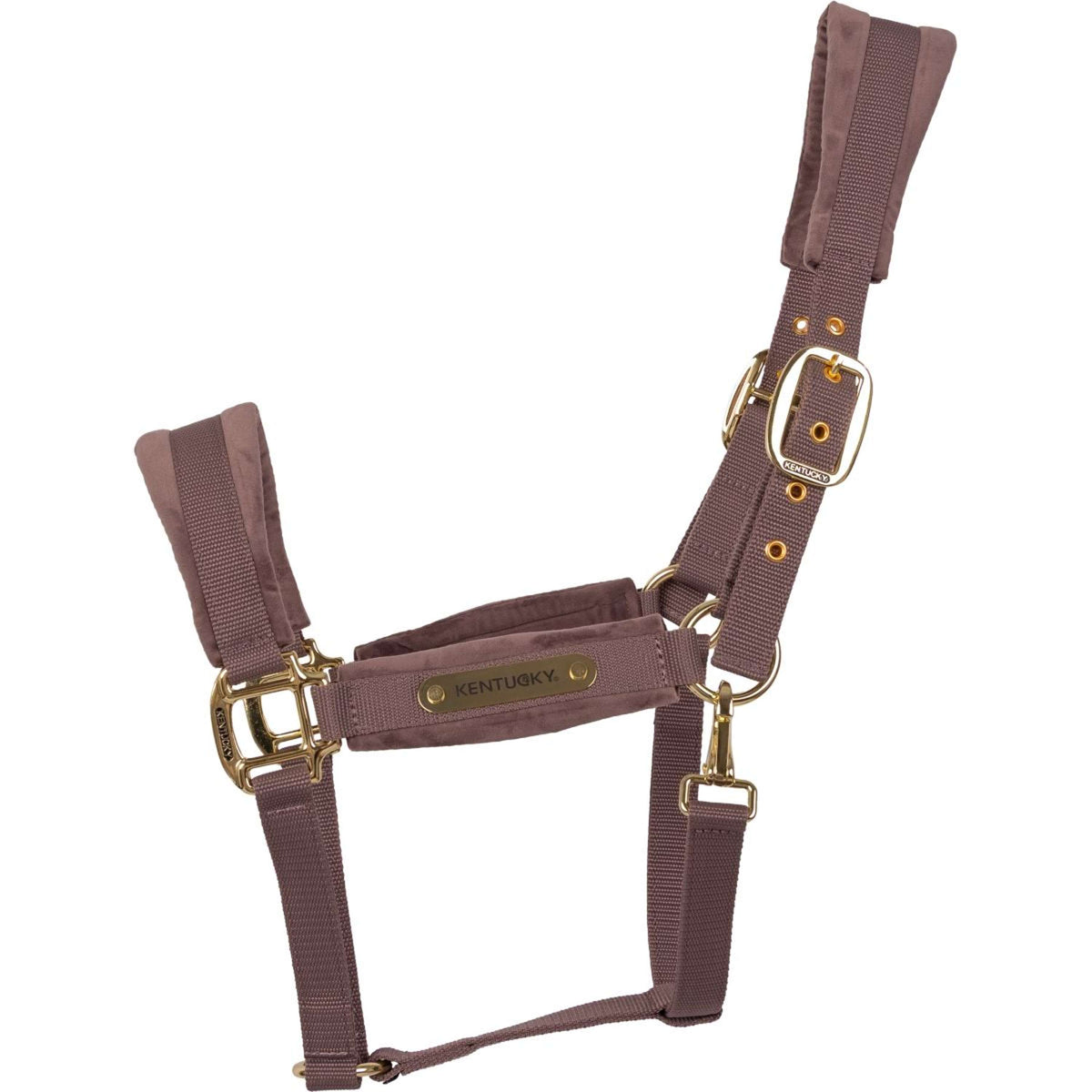 Kentucky Licol Velvet Lilas