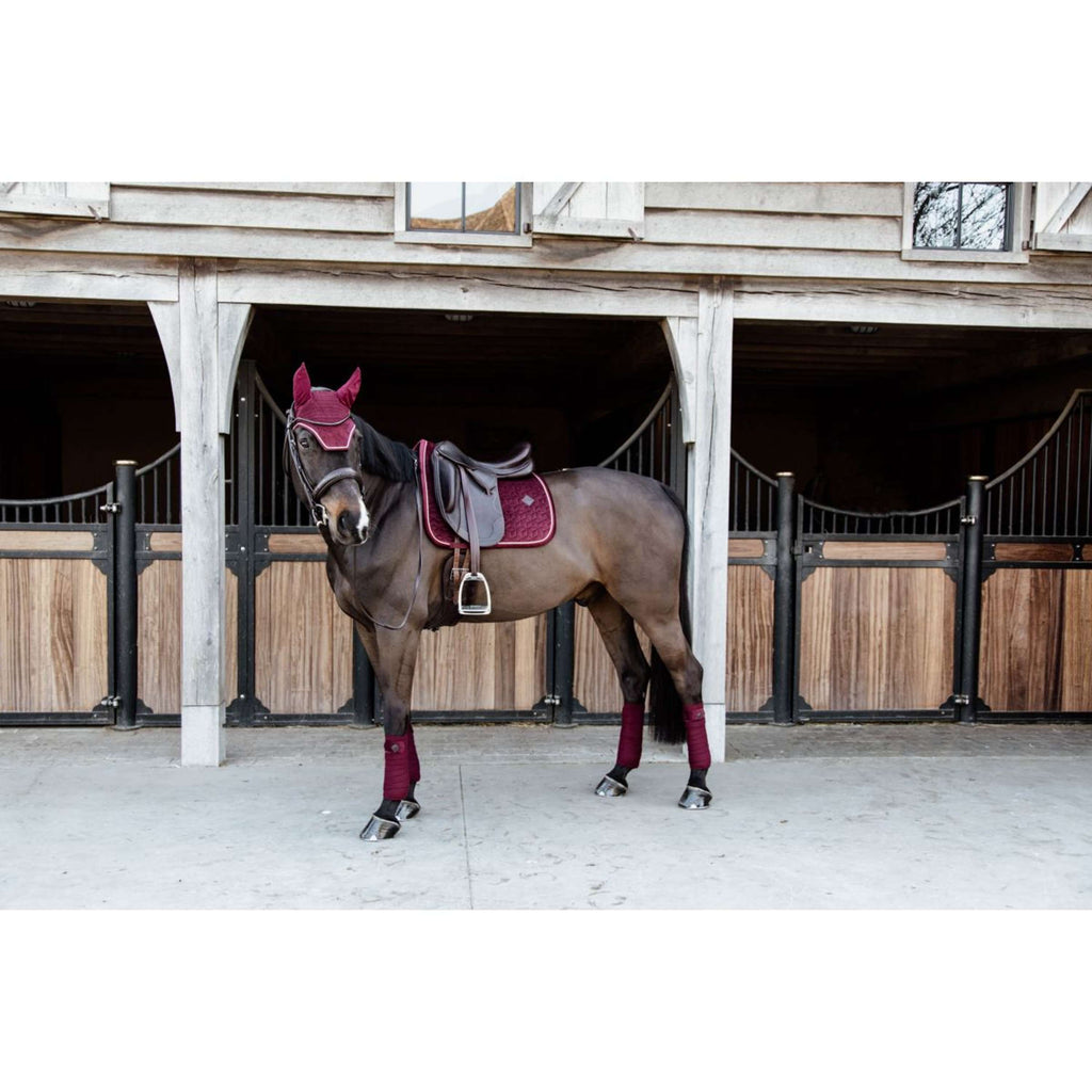 Kentucky Tapis de Selle Velvet Dressage Bordeaux