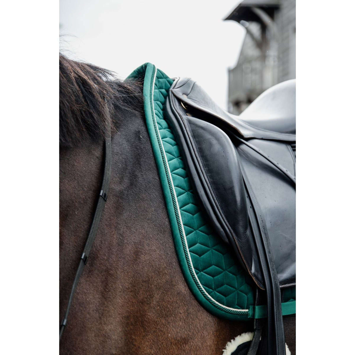 Kentucky Tapis de Selle Velvet Dressage Vert Foncé