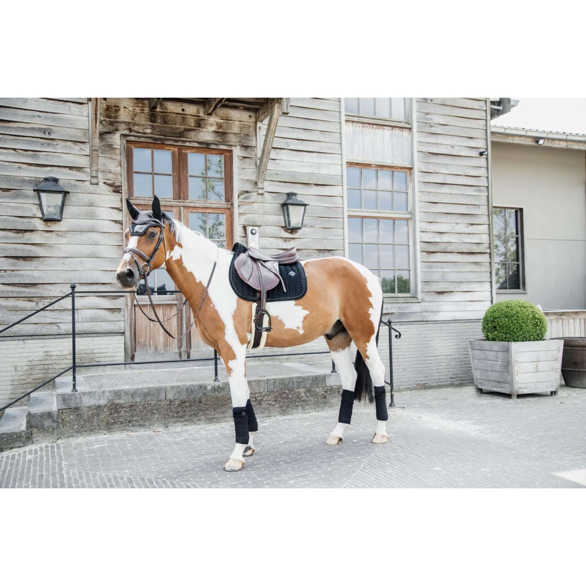 Kentucky Tapis de Selle velours Pearls de Saut Noir