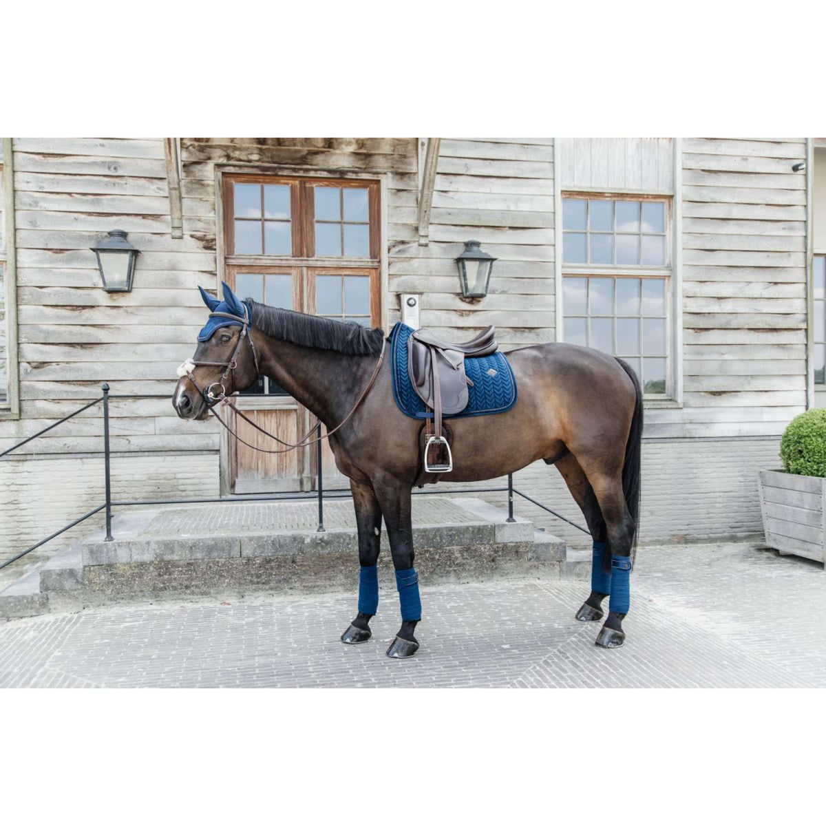 Kentucky Tapis de Selle velours Pearls Dressage Marin