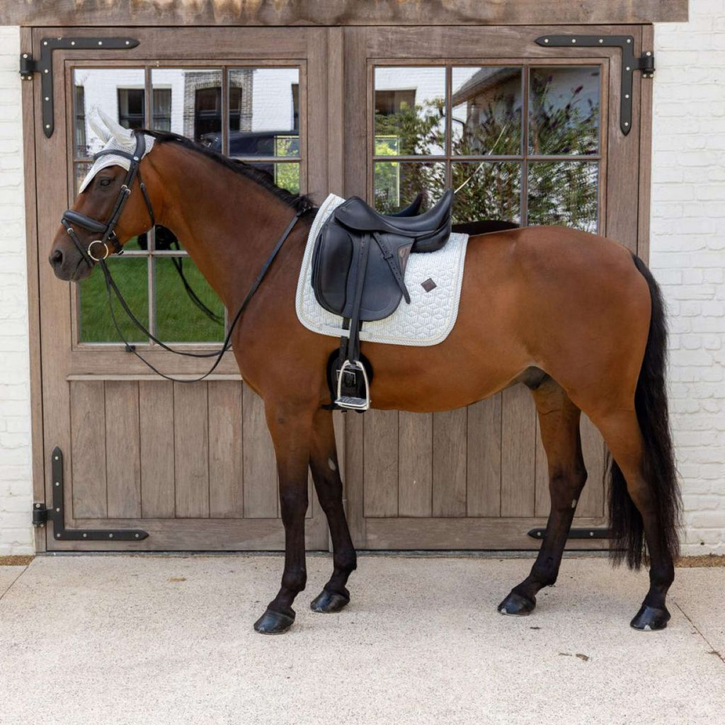 Kentucky Tapis de Selle Velvet Flags Dressage Bleu clair