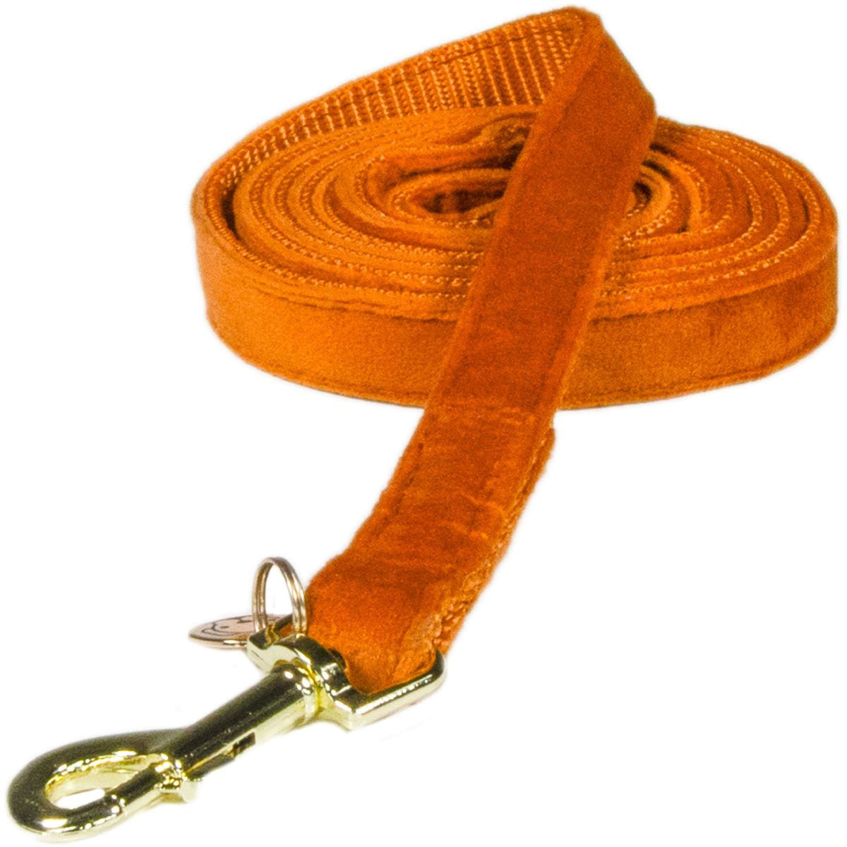 Kentucky Laisse pour Chien velours Orange