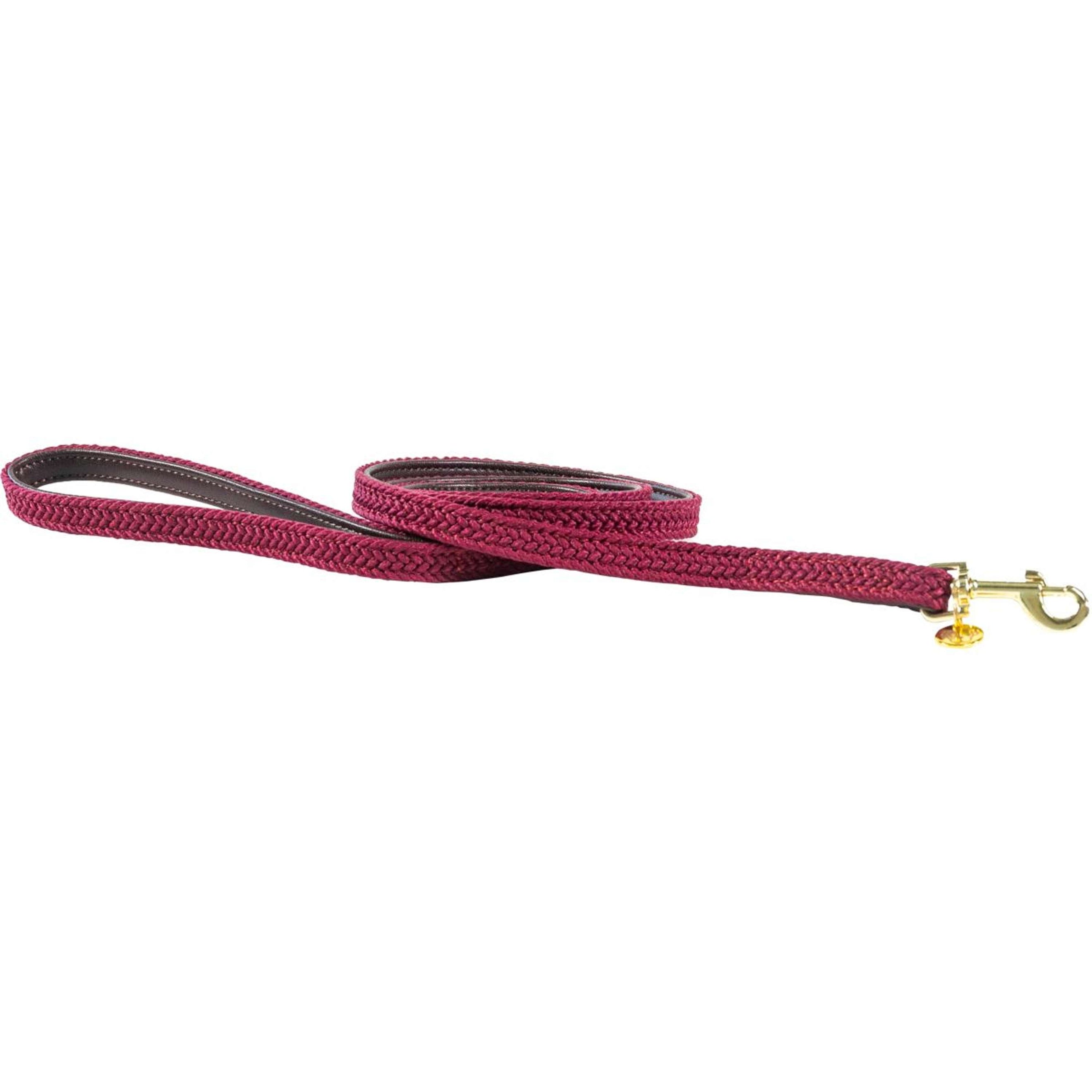 Kentucky Laisse pour Chien Plaited Nylon Bordeaux