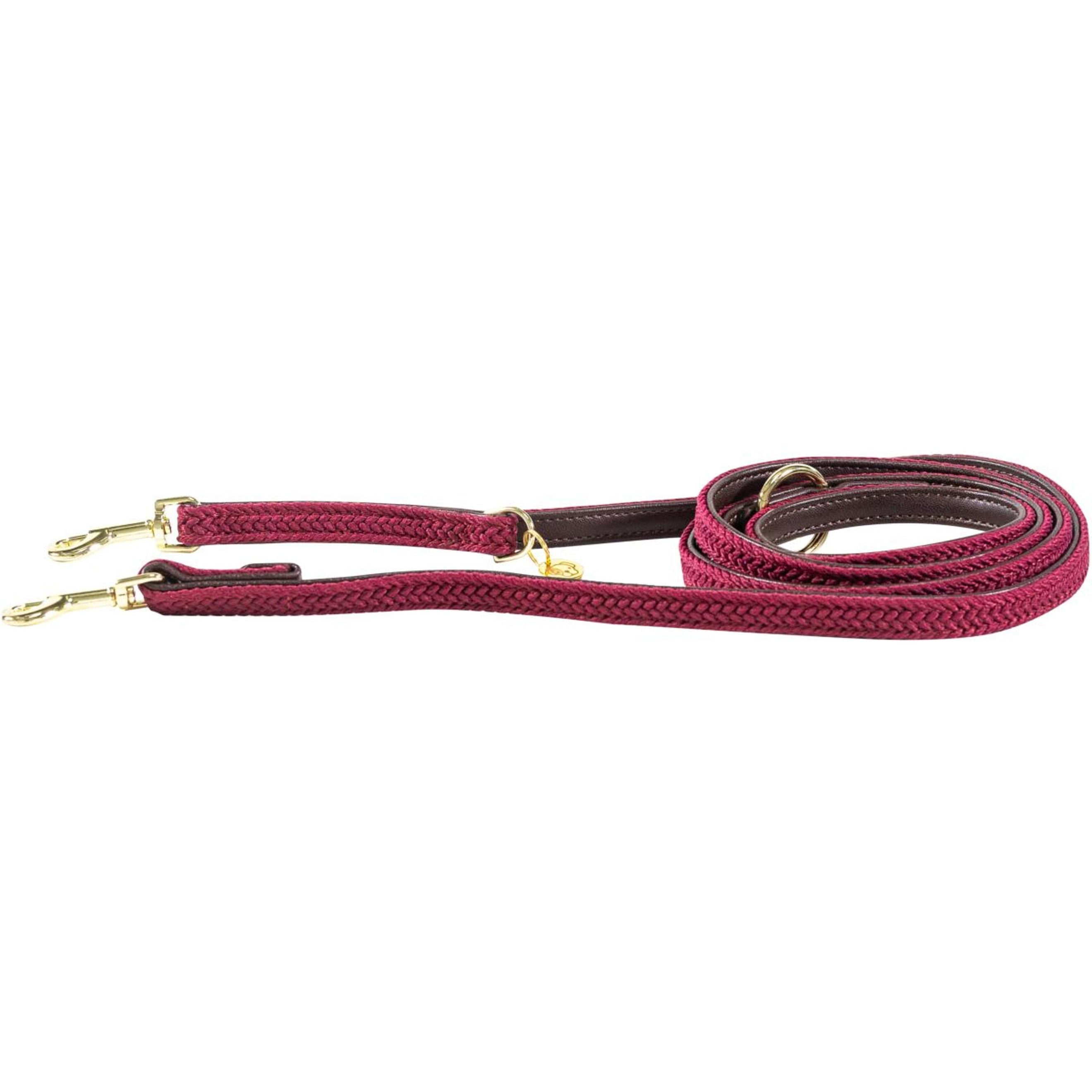 Kentucky Laisse pour Chien Plaited Nylon Bordeaux