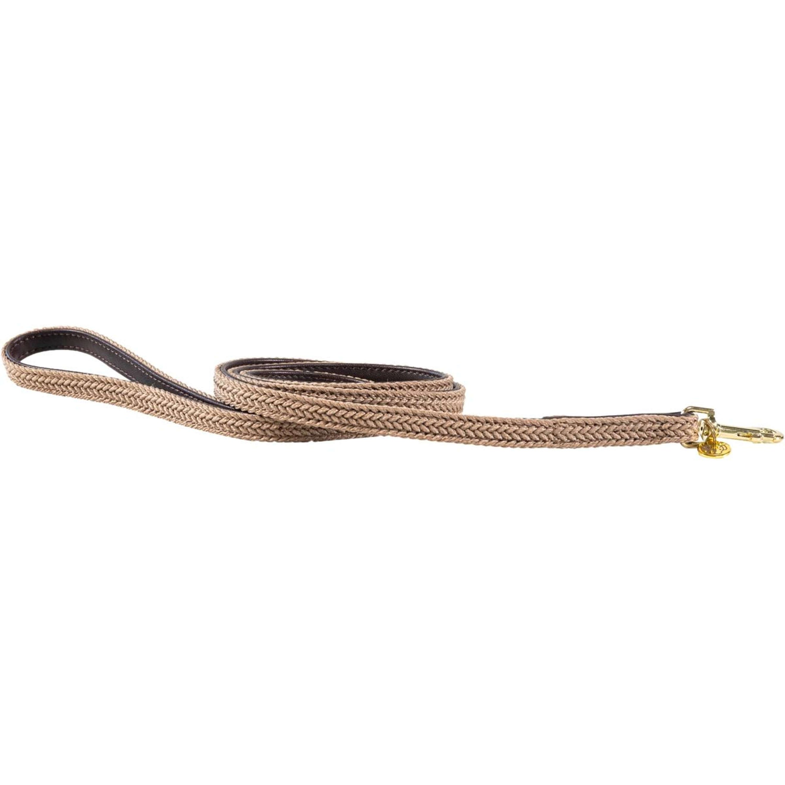 Kentucky Laisse pour Chien Plaited Nylon Beige