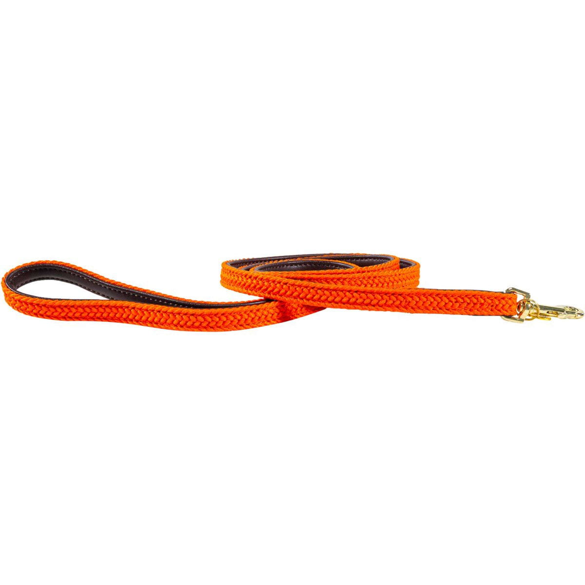 Kentucky Laisse pour Chien Plaited Nylon Orange