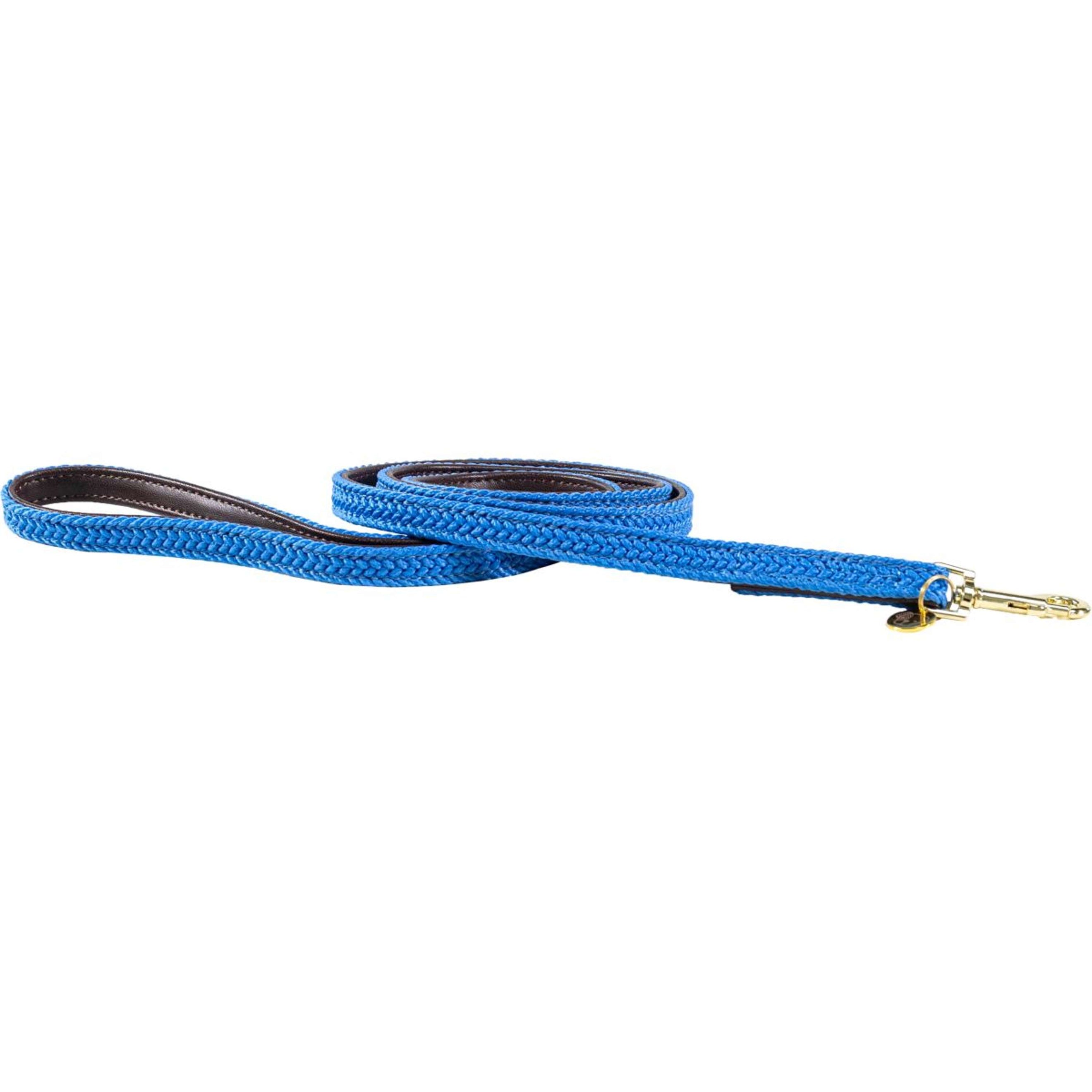 Kentucky Laisse pour Chien Plaited Nylon Bleu clair