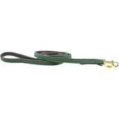 Kentucky Laisse pour Chien Plaited Nylon Olive vert