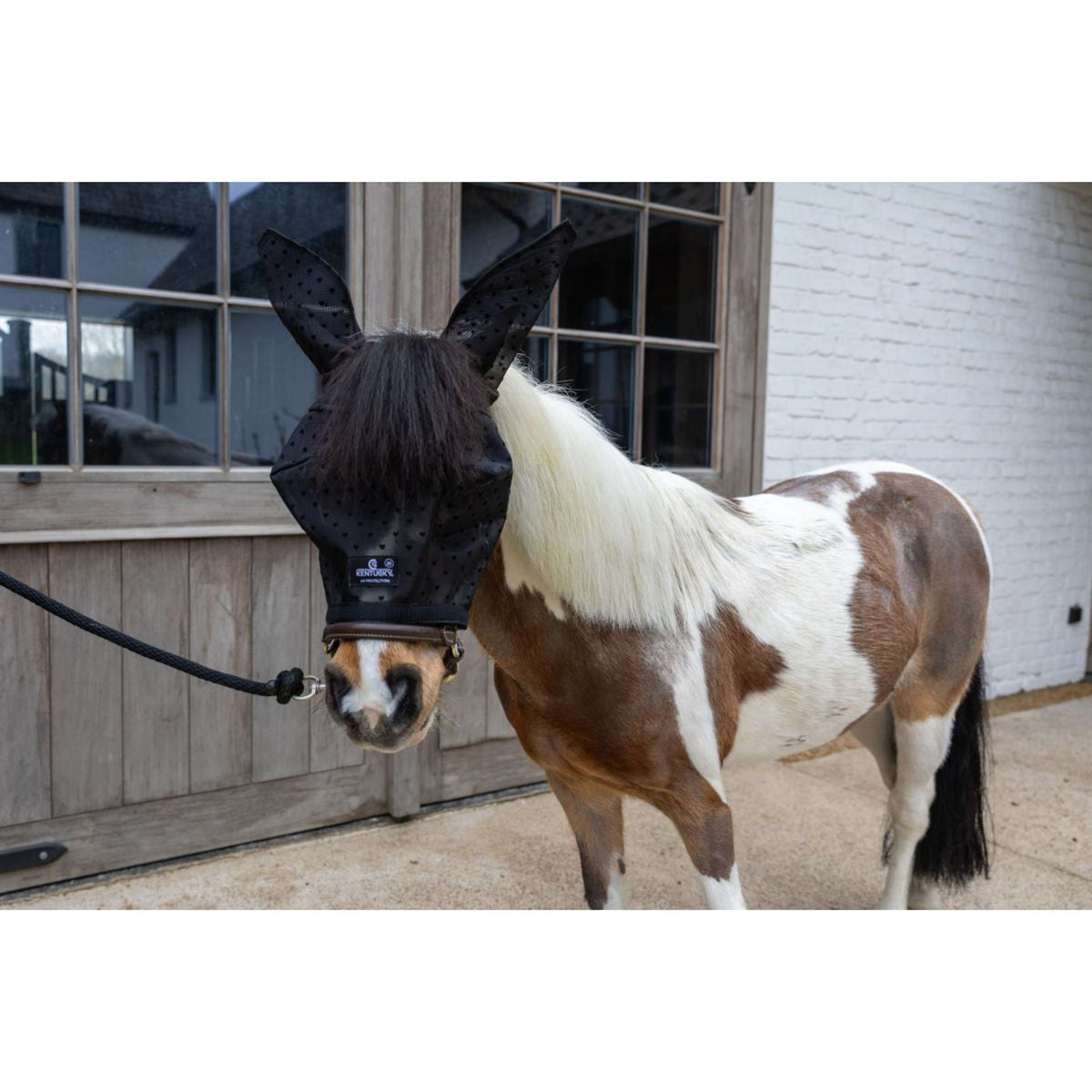 Kentucky Masque Anti-Mouches Heart avec Oreilles et Nez Noir