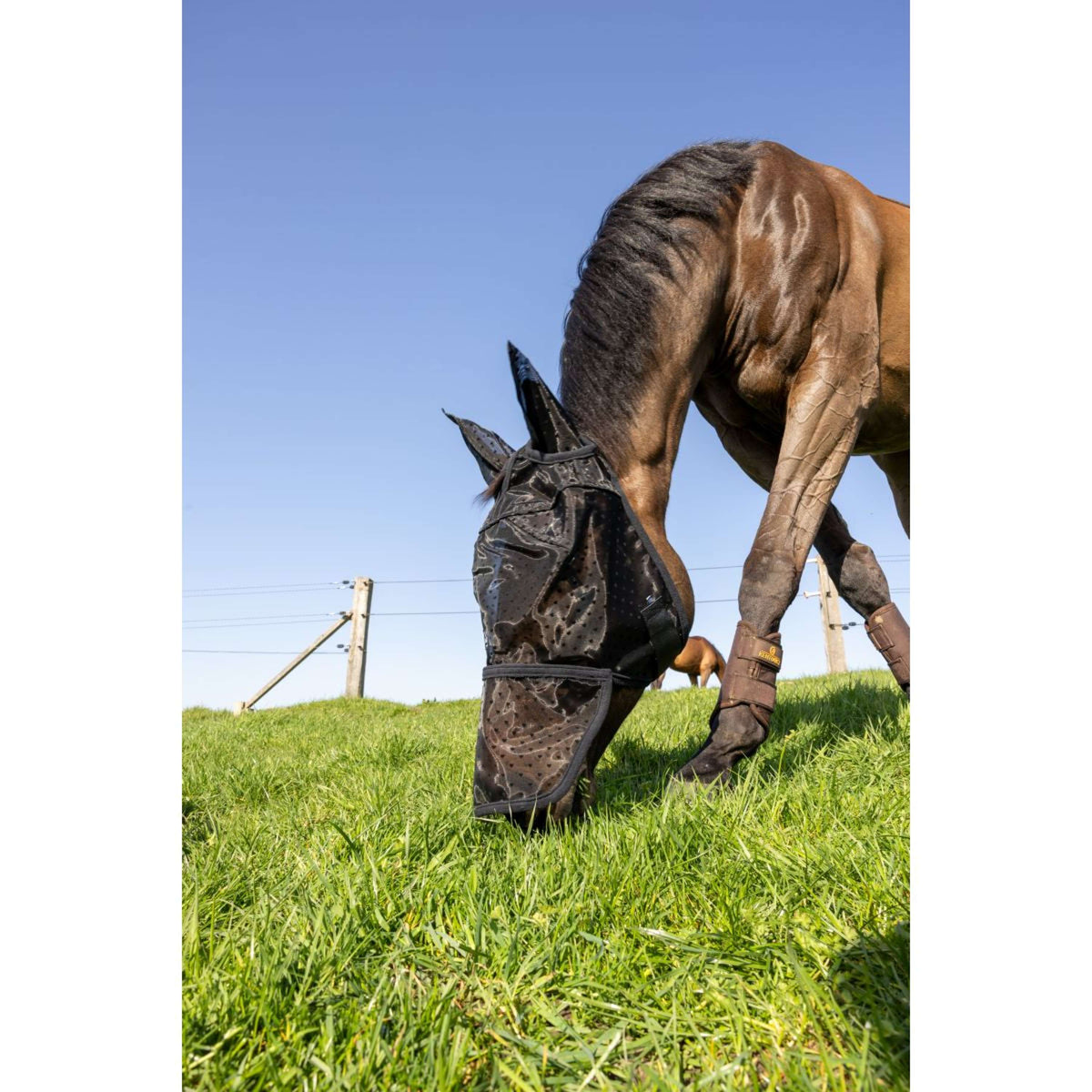 Kentucky Masque Anti-Mouches Heart avec Oreilles et Nez Noir