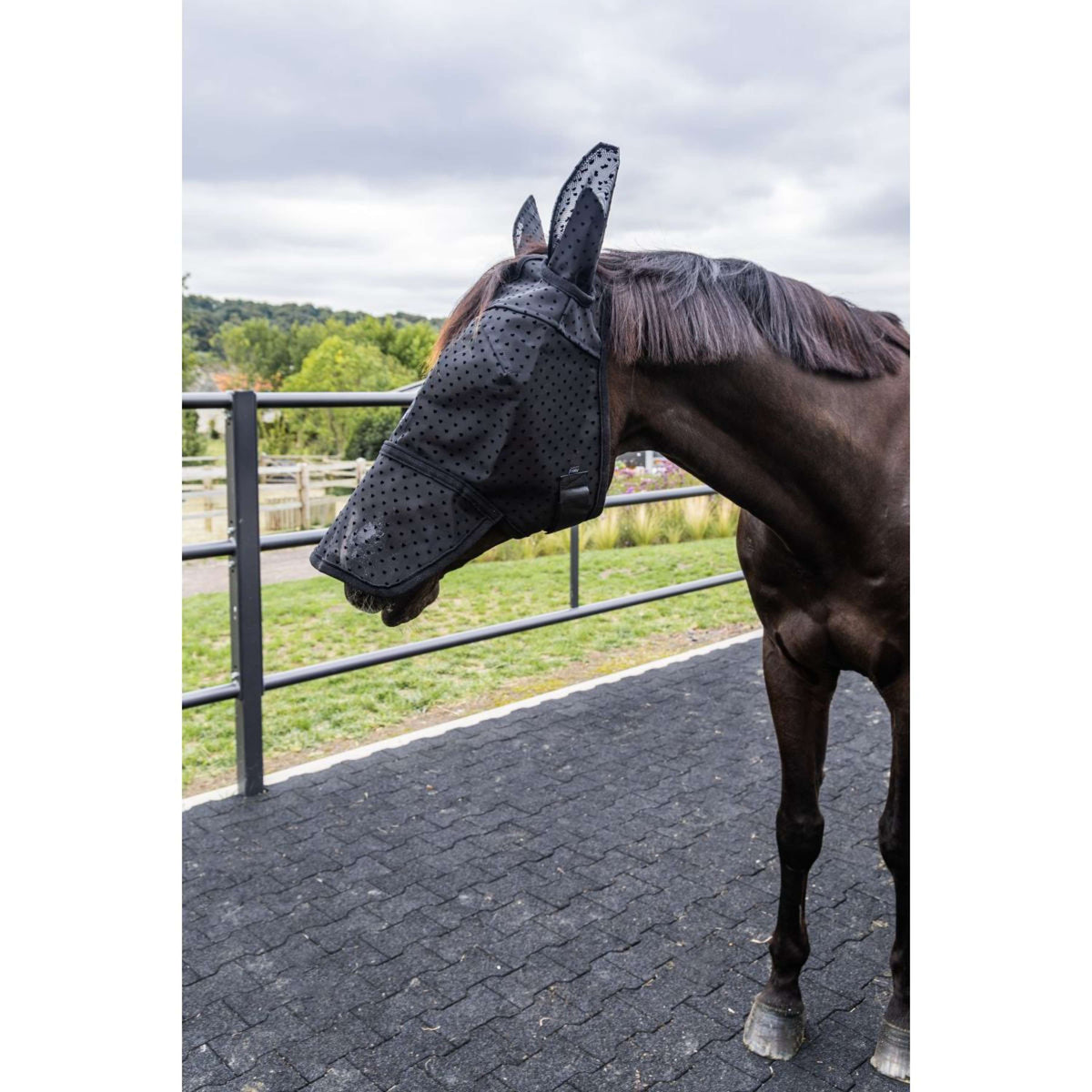 Kentucky Masque Anti-Mouches Heart avec Oreilles et Nez Noir