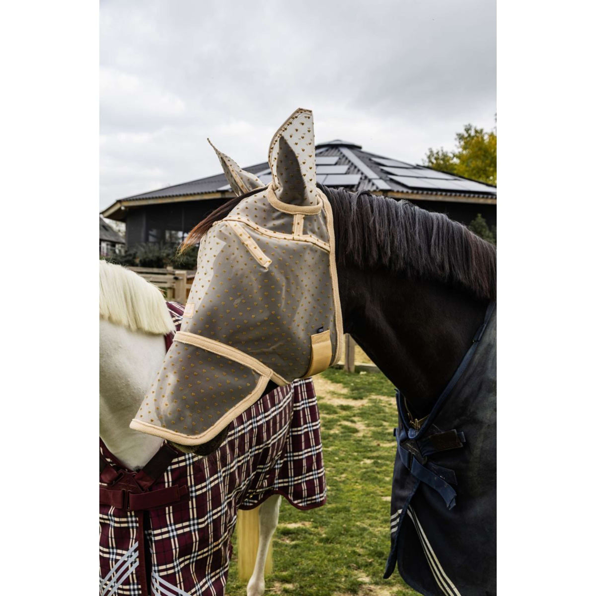 Kentucky Masque Anti-Mouches Heart avec Oreilles et Nez Beige