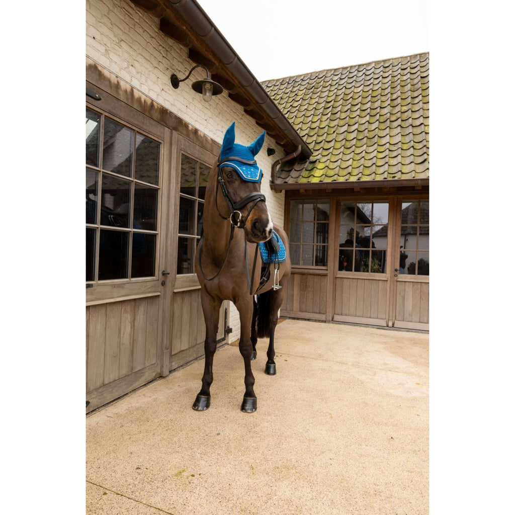Kentucky Bonnet Anti-Mouches Wellington Velvet Horse Printing Marin