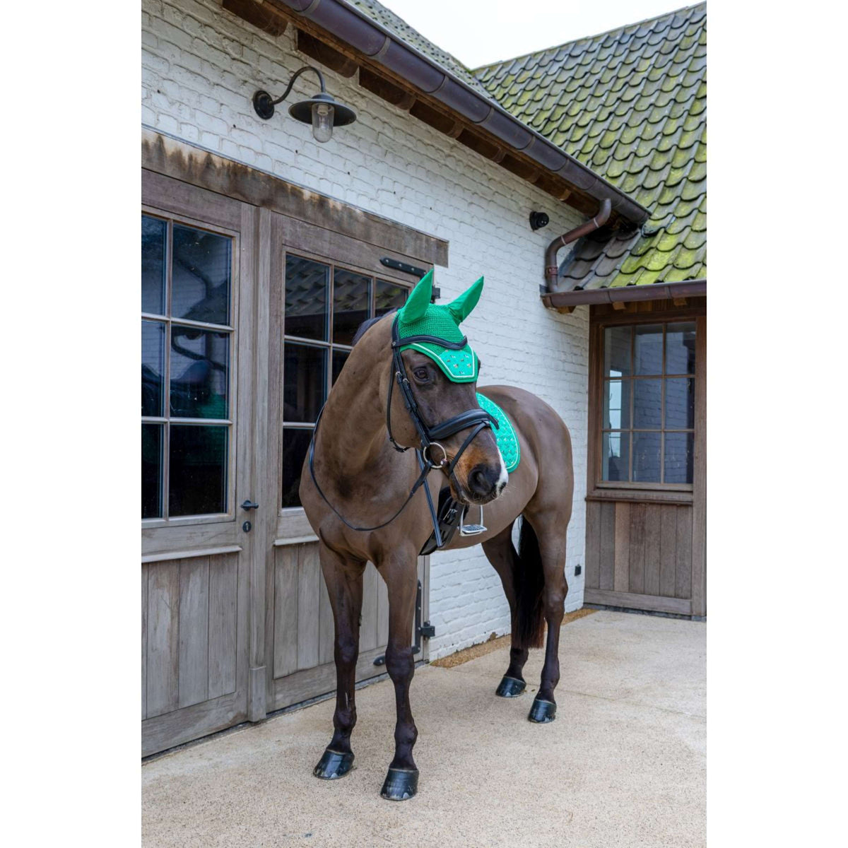 Kentucky Bonnet Anti-Mouches Wellington Velvet Horse Printing Vert