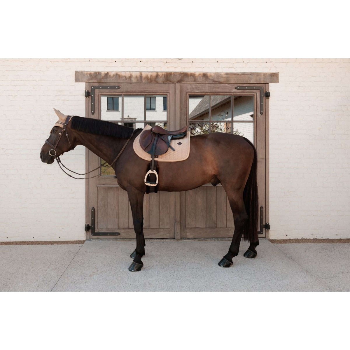 Kentucky Tapis de Selle Velvet Mini Pearls de Saut Beige