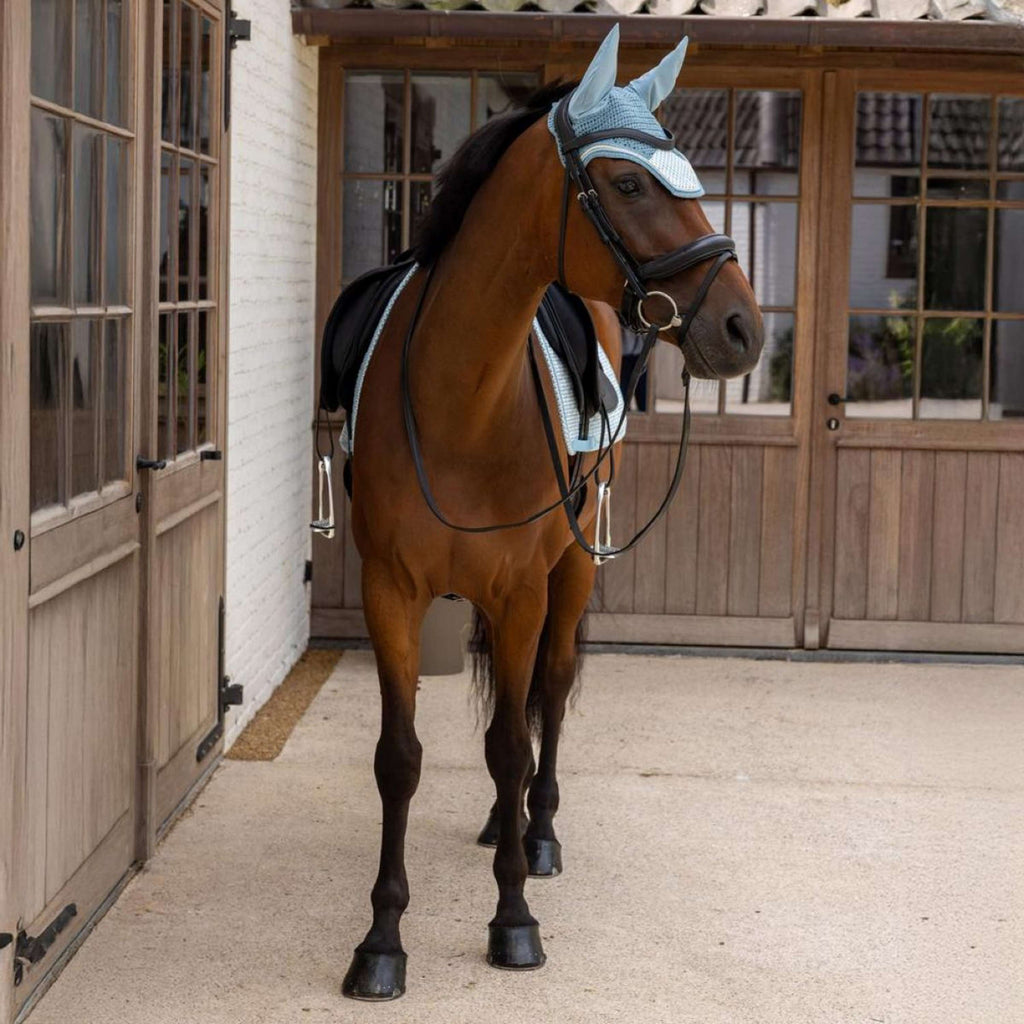 Kentucky Tapis de Selle Velvet Flags Dressage Bleu clair