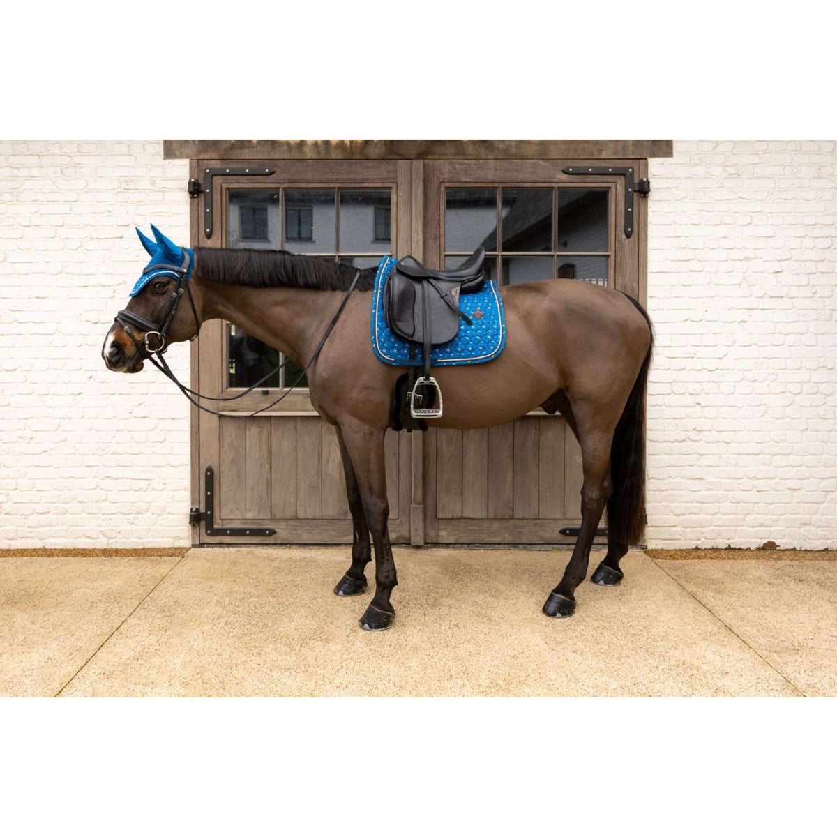 Kentucky Tapis de Selle Velvet Horse Printing Dressage Marin