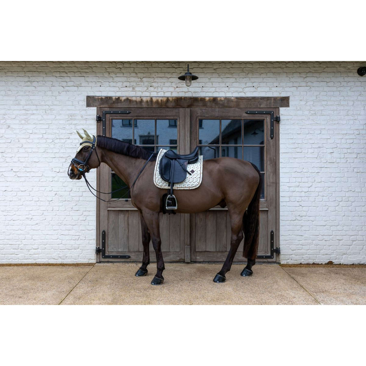 Kentucky Tapis de Selle Velvet Horse Printing Dressage Beige