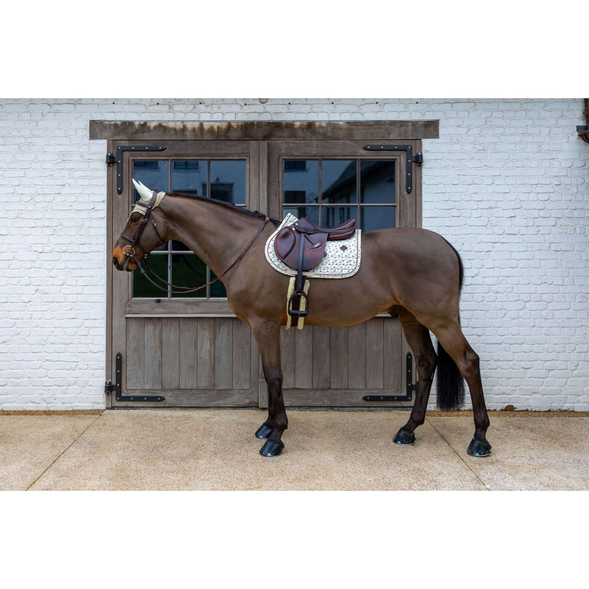 Kentucky Tapis de Selle Velvet Horse Printing Beige