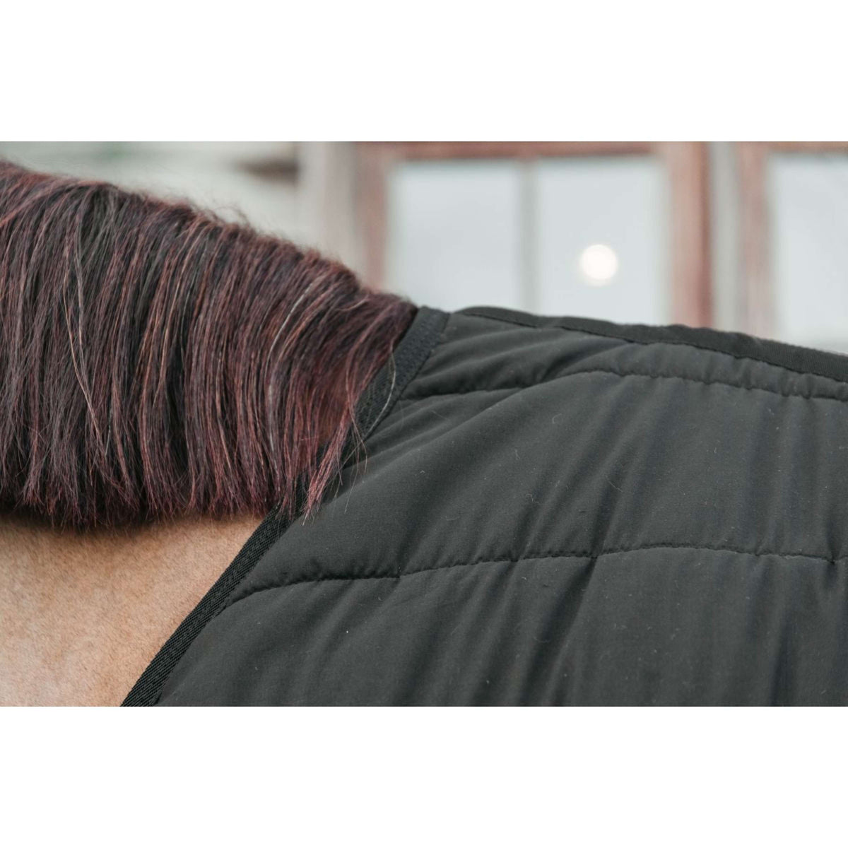 Kentucky Sous-Couverture Skin Friendly 300g Noir