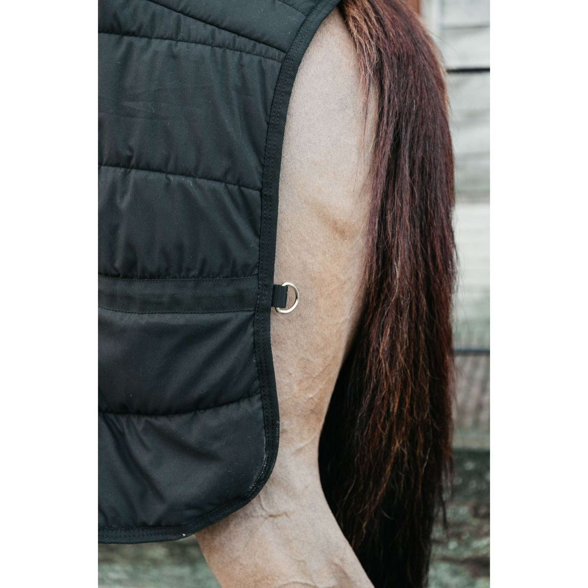 Kentucky Sous-Couverture Skin Friendly 300g Noir