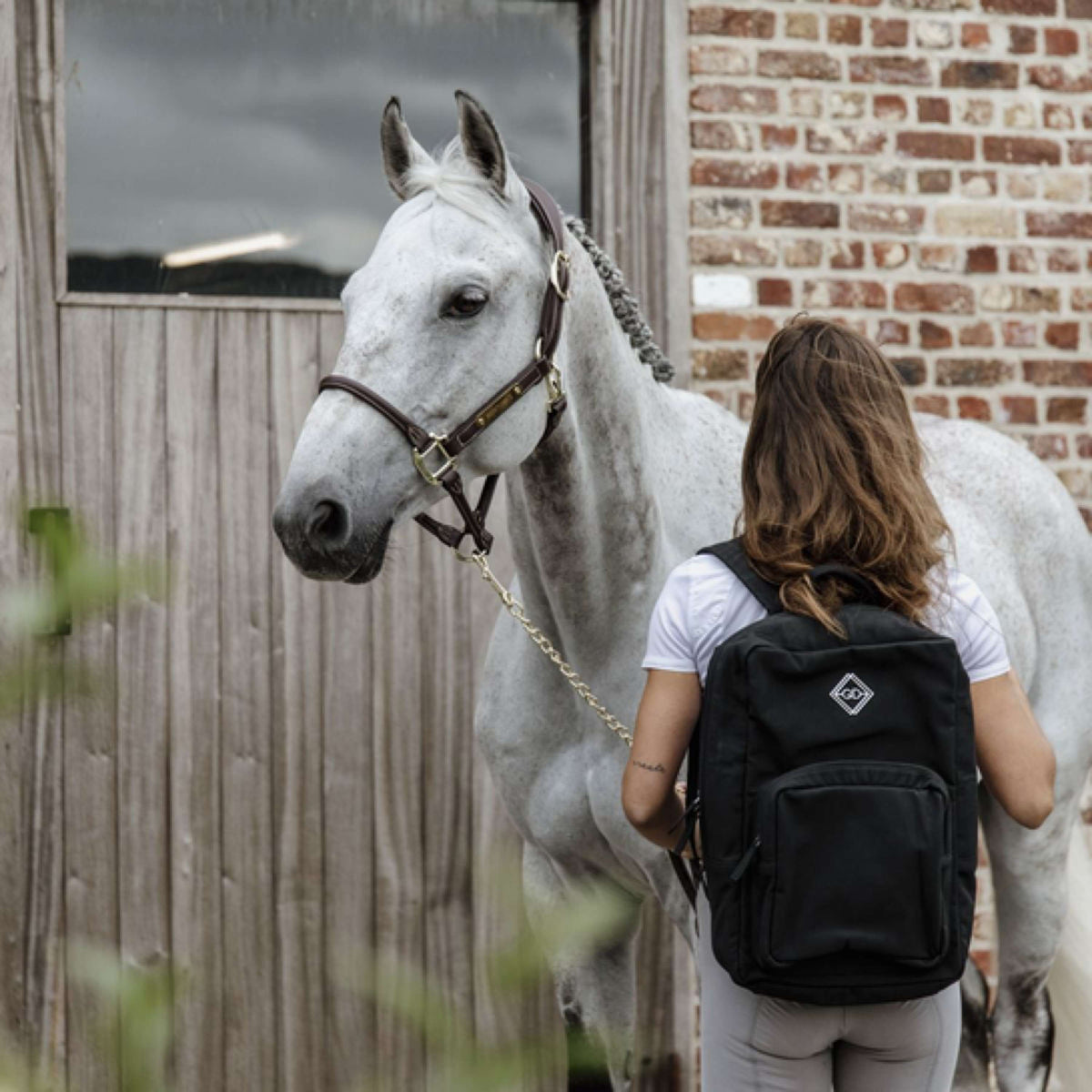 Grooming Deluxe by Kentucky Sac à Dos Chestnut Noir