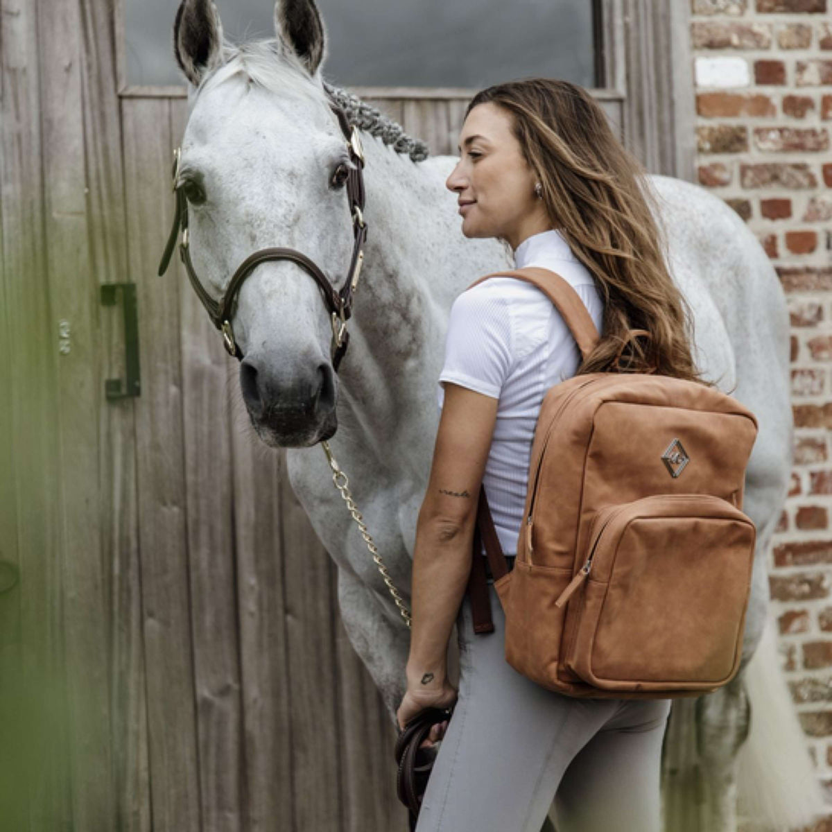 Grooming Deluxe by Kentucky Sac à Dos Chestnut Marron