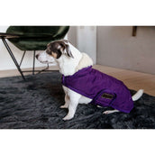 Kentucky Veste pour Chien Original Royal Violet