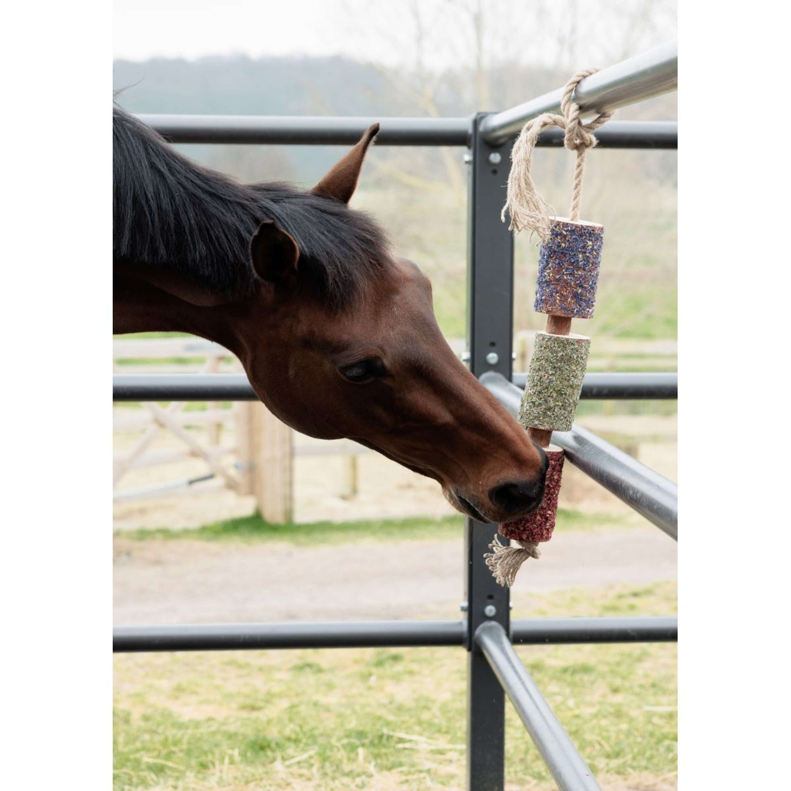 Grooming Deluxe by Kentucky Relax Horse Toy Wooden Freedom