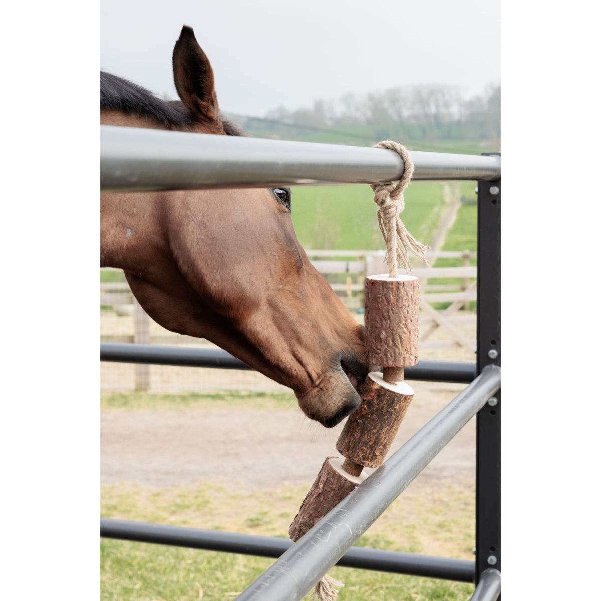 Grooming Deluxe by Kentucky Relax Horse Toy Wooden Made by Nature