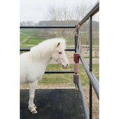 Grooming Deluxe by Kentucky Relax Horse Toy Wooden Unicorn Joy