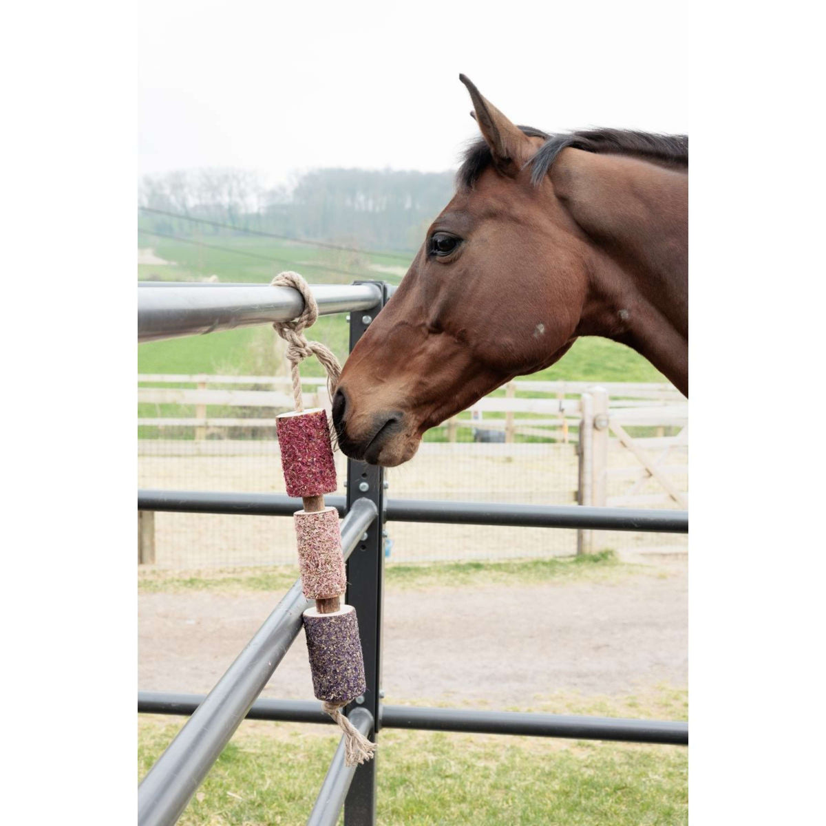 Grooming Deluxe by Kentucky Relax Horse Toy Wooden Unicorn Joy