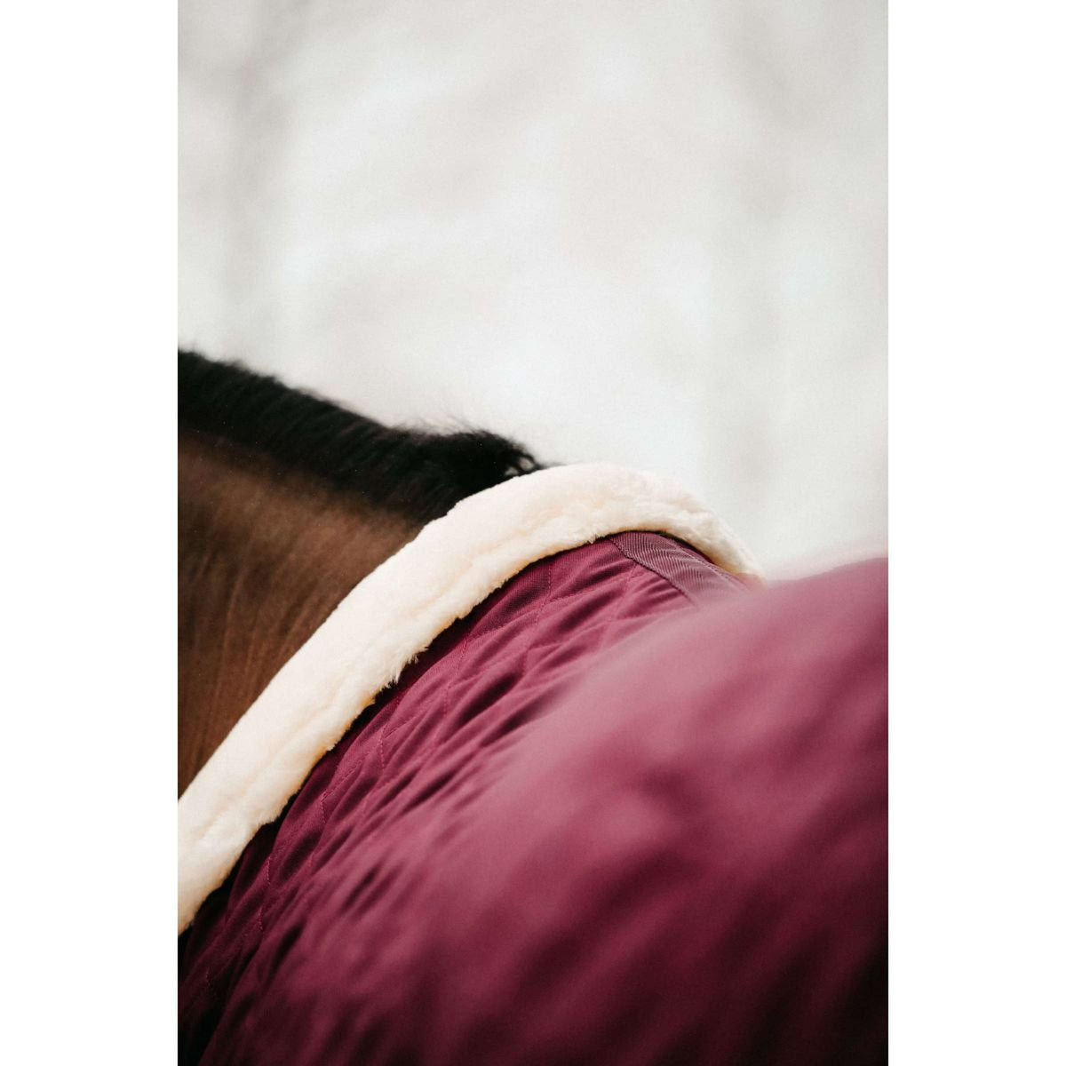 Kentucky Couverture de Concours 160g Bordeaux