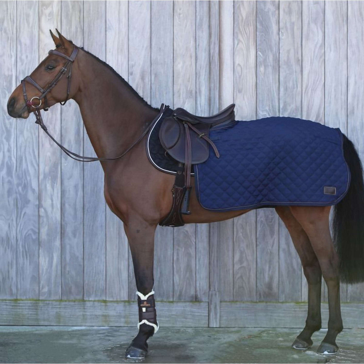 Kentucky Couvre-reins Carré 160g Marin