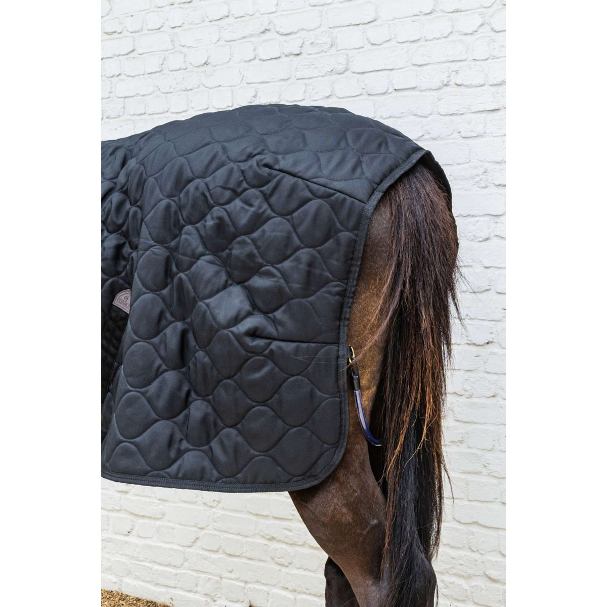 Kentucky Couverture d'Écurie Comfort 300g Noir