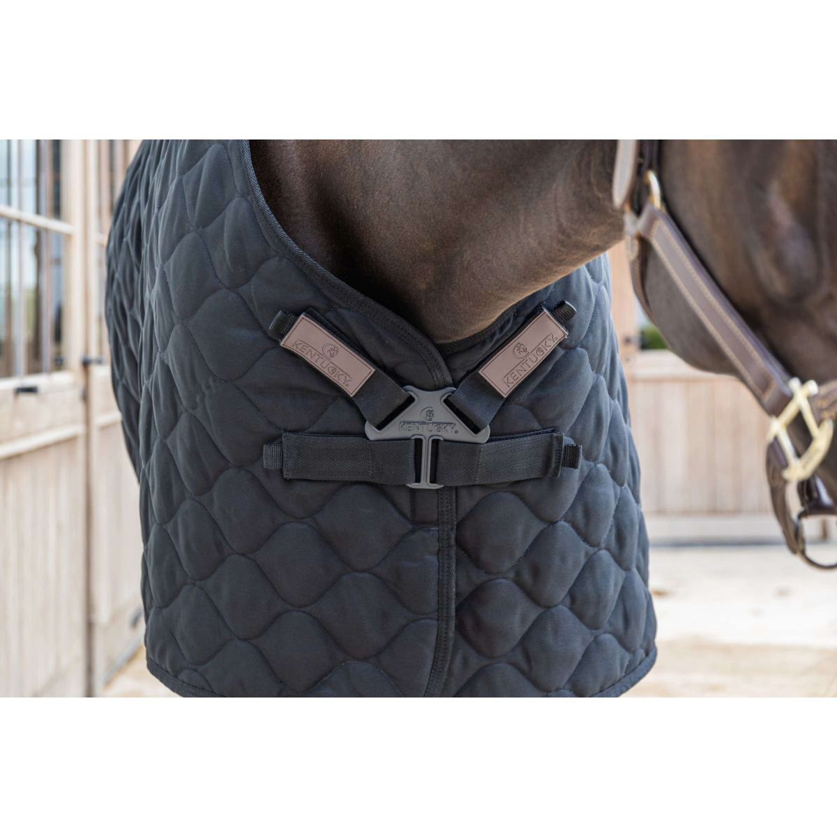 Kentucky Couverture d'Écurie Comfort 300g Noir