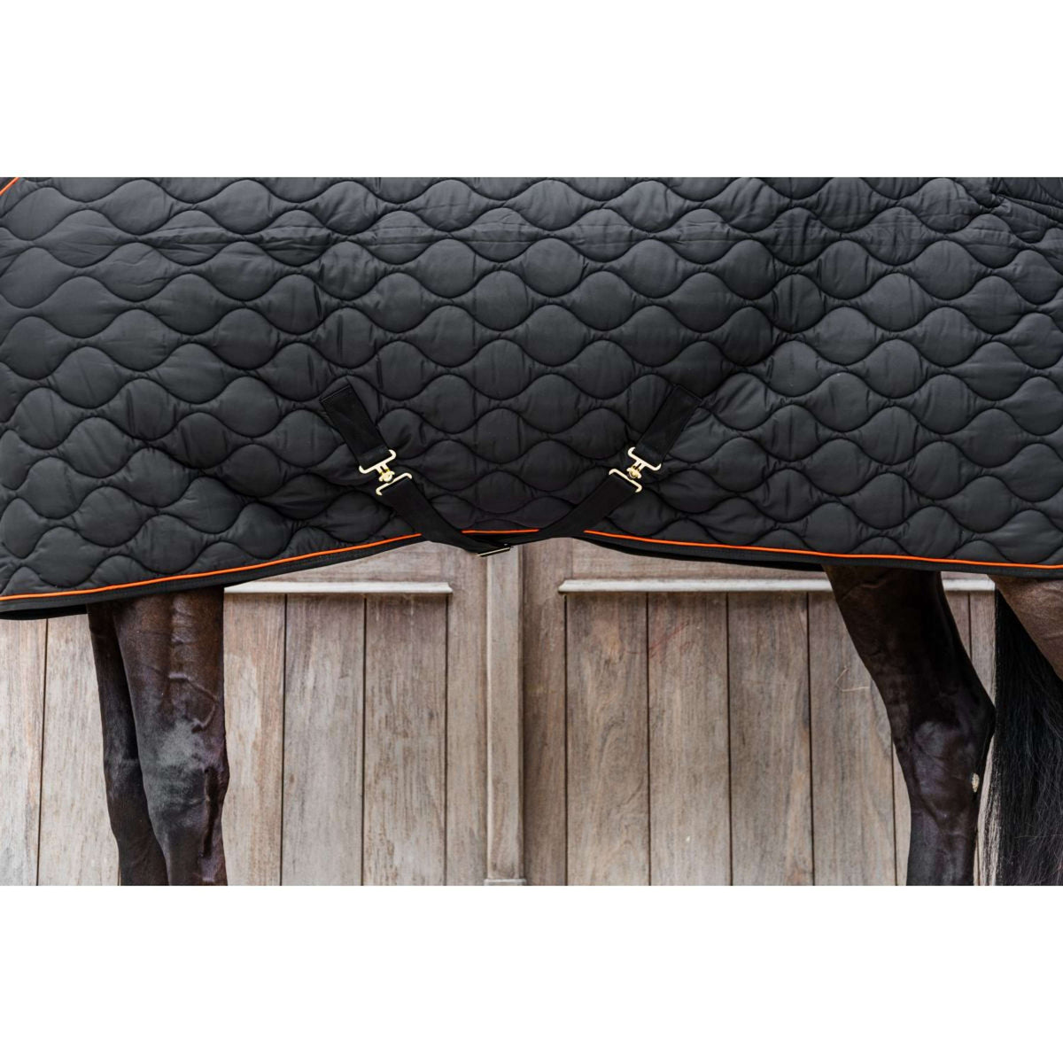 Kentucky Couverture d'Écurie Wave Noir