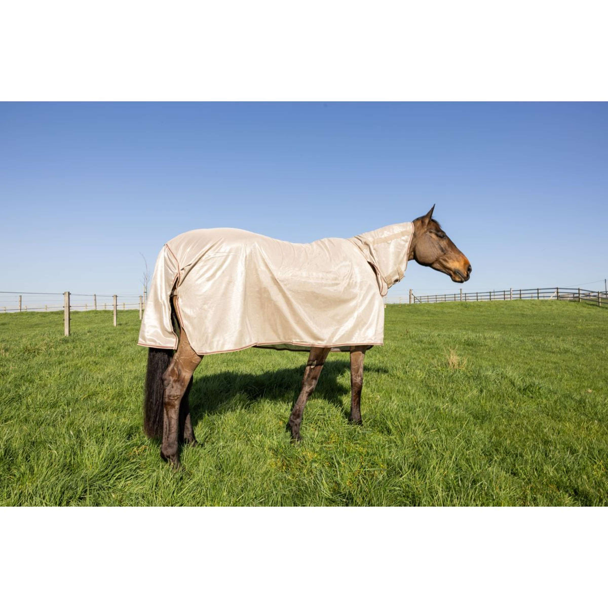 Kentucky Couverture Anti-Mouches Comfort Mesh Classic with Neck & Belly Cover Beige/Bordeaux