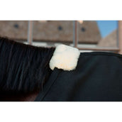 Kentucky Canvas Sheet Noir